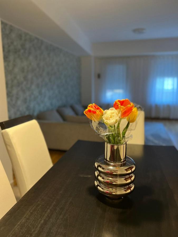 Iva Lux Stan Na Dan Apartman Banja Luka Kültér fotó